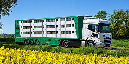 Tiertransportfahrzeug von Westfleisch fährt durch eine ländliche Landschaft.