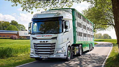 Grün-weißer Westfleisch-Tiertransport-Lkw auf einer Landstraße in ländlicher Umgebung.