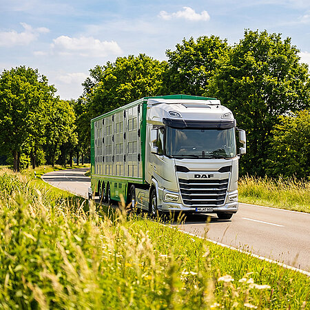 Grün-weißer Tiertransport-Lkw auf einer Landstraße in ländlicher Umgebung.