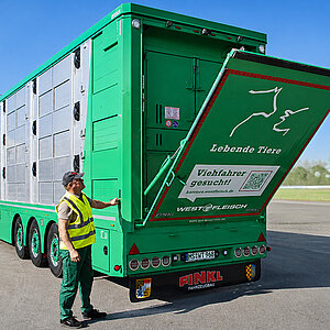 Mitarbeiter in Warnweste öffnet die Heckrampe eines grünen Westfleisch-Tiertransporters.